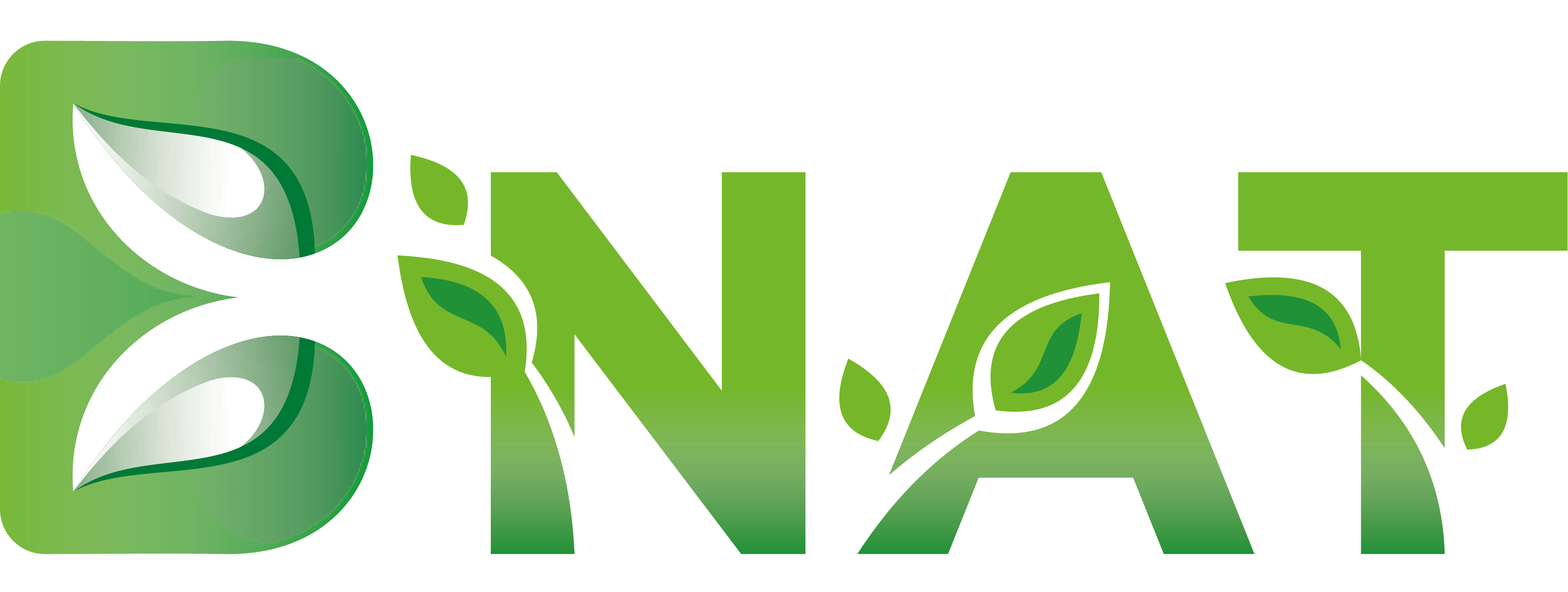 BNAT | بهینه سازان طبیعت سبز کیش | بسط | بینات | لوگو